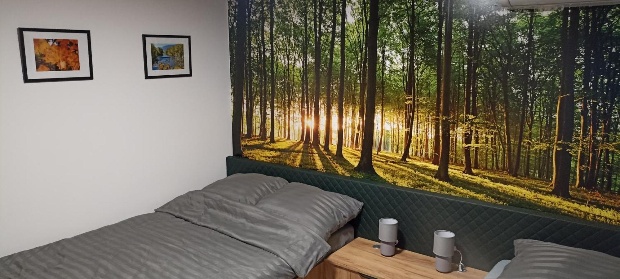 Willa Zuzanna, Wczesniej Willa Italia Ustroň Exteriér fotografie